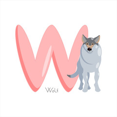 Letter W. Children's alphabet, cute wolf. Vector illustration for learning English.