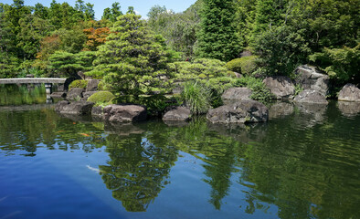 Fototapeta na wymiar Green garden with bonsai trees and fish pond