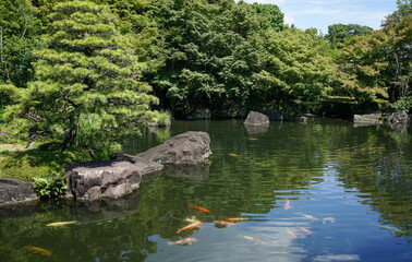 Fototapeta na wymiar Green garden with bonsai trees and fish pond