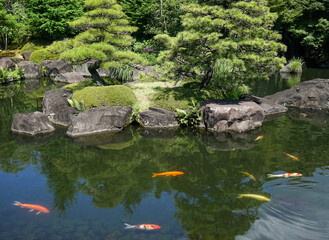 Green garden with bonsai trees and fish pond