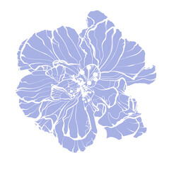 Blue exotic Egyptian flower in graphics, sketch vector graphic illustration on white background for notebook, sketchbook, postcards, posters