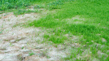 Dried cracked earth soil ground texture background. Environmental disaster. Drought. A close up of cracked mud. The global shortage of water on the planet. Global warming and greenhouse effect concept