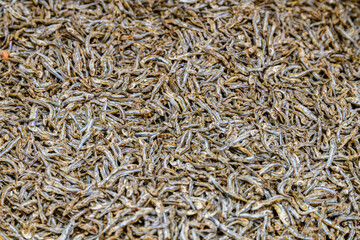 Texture of the dried capelin fish. Seafood background