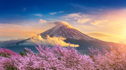Fuji-Berg und Kirschblüten im Frühjahr, Japan.