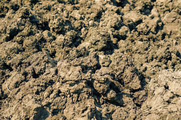 Dried mud. Brown mud dried by the hot summer sun. Daytime. Selec