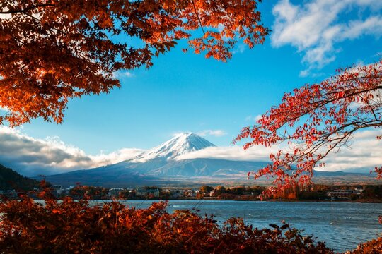 2 027 Best Fuji Japan Images Stock Photos Vectors Adobe Stock