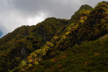 clouds in the mountains