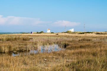 Farm in the Country