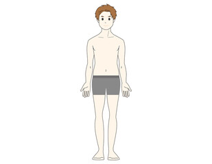 Full body illustration of a man. Beauty. Vector illustration.
