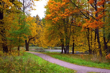 autumn in the park