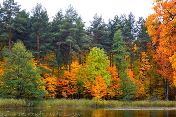 autumn in the mountains