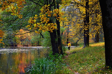 Naklejka premium autumn trees reflected in water