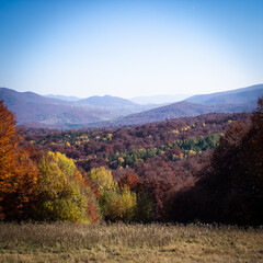 Fototapeta na wymiar Autumn colors of trees in the Bieszczady Mountains.