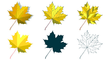 Hand-drawn gold maple autumn leaf collection isolated on white background. Cartoon flat-style vector illustrations.