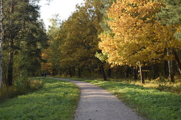autumn in the park