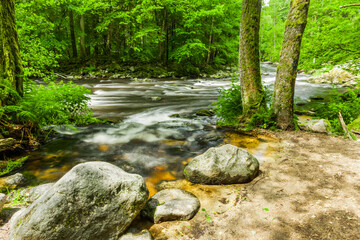 Obraz premium Wanderweg an einem Fluss im Herbst