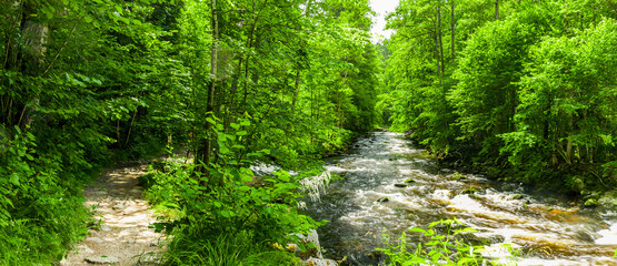 Wanderweg an einem Fluss im Herbst