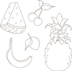 Linear illustration of fruits, vector