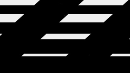 vector pattern in geometric ornamental style. Black and white pattern.