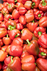 Organic fresh red peppers in a factory. High quality photo