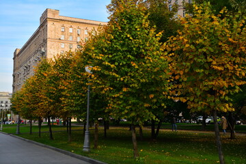 autumn trees on the street of Moscow