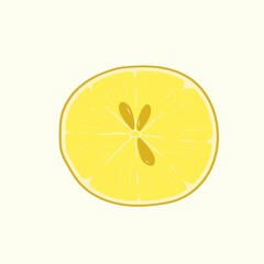 slice of yellow lemon with seeds