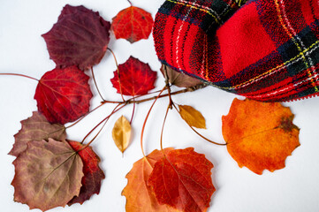 Fototapeta premium Autumn background with red aspen leaf and red woolen tartan fabric on white.