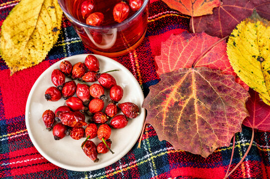 Rosehip fruit, rosehip tea and mix autumn leaf in red color.