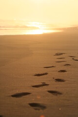 footprints in the sand during a beautiful sunset on the beach