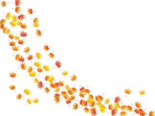 Maple leaves vector background, autumn foliage on white graphic design.