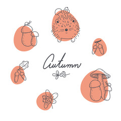Vector autumn arrangements. A hedgehog, mushrooms, an ant, acorns and wild berries. Suitable for cards,  invitations, paper and others