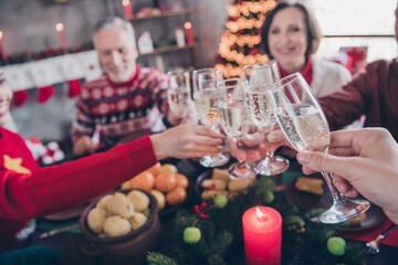 Photo portrait family celebrating christmas holidays indoors drinking champagne together