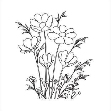 recommend clip art: Flowers line vector drawing. Botanical print. Nature symbol of cosmetics. Modern continuous line art. Fashion print. One line Illustration.