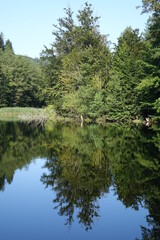 Fototapeta na wymiar Woog (small lake) with reflections in late summer near Fischbach, Dahn Germany