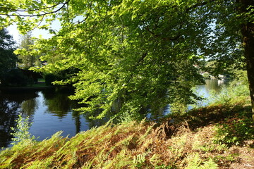 Small lake Sägmühlweiher with reflections in late summer, Ludwigswinkel, Fischbach, Germany
