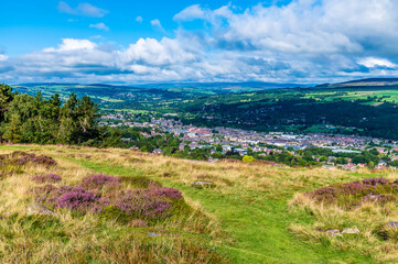 A view of purple heather clusters on Ilkley moor above the town of Ilkley Yorkshire, UK in...