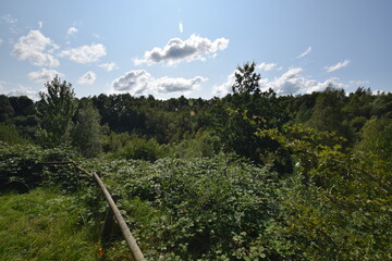 Liether Kalkgrube - Schleswig-Holstein - Deutschland - Gr&uuml;ne Sommerlandschaft