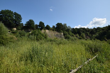 Liether Kalkgrube - Schleswig-Holstein - Deutschland - Gr&uuml;ne Sommerlandschaft