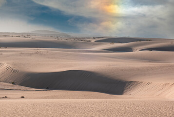 Low sun over the beautiful natural park in Corralejo Fuerteventura in the Canary Islands Spain