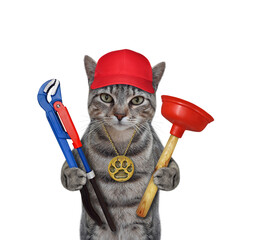 A gray cat plumber in a red cap holds a sink  and a adjustable pipe wrench. White background. Isolated. - 461090381