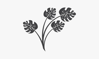 monstera leaf plant vector illustration on white background. © Rasendria