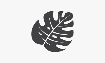single monstera leaf icon isolated on white background.