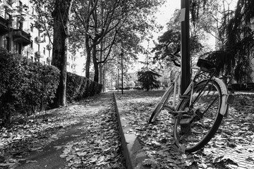 Bycicle in a public park of Milan in autumn