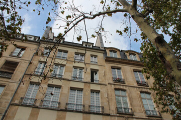Fototapeta na wymiar flat buildings in paris (france)