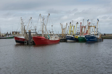 fishing boats with nets laying in the harbor of Lauwersoog on a sunny sunday