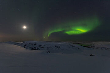 In winter, the moon and the aurora borealis are in the sky.