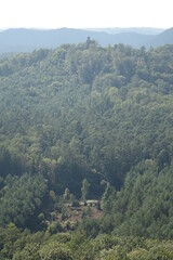 Fototapeta premium Scenic view over Palatinate Forest and the Vosges from majestic outlook point Bayerischer Windstein at the German French border, Obersteinbach, France 