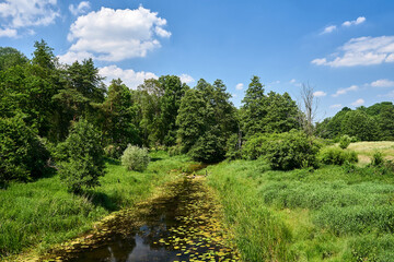 Fototapeta na wymiar The Obra river flowing through the Meadow during summer