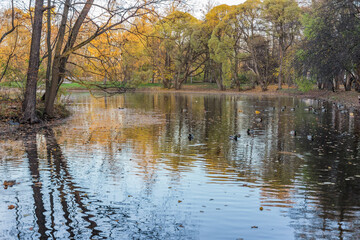 lake in autumn