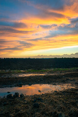 Obraz premium Stunning colors in the sky over Dutch agricultural landscape near Gouda, The Netherlands. Reflection of the colored clouds in a pool of water.